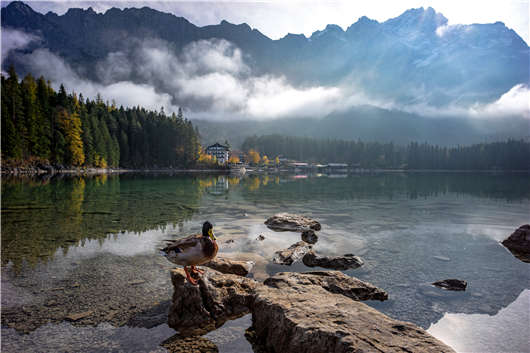 去德國旅行，送您一份德國購物指南